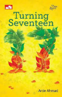 Image of Turning Seventeen